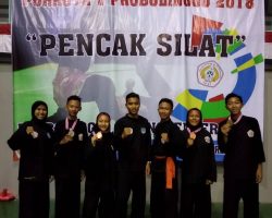 Kejuaraan Pencak Silat