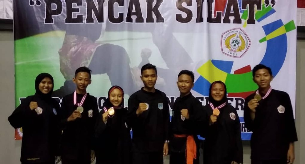 Kejuaraan Pencak Silat